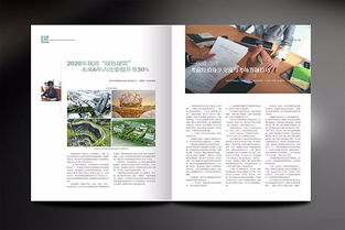 圖 深圳石巖產(chǎn)品畫(huà)冊(cè)設(shè)計(jì),企業(yè)畫(huà)冊(cè)專(zhuān)業(yè)設(shè)計(jì),石巖折頁(yè)設(shè)計(jì)公司 深圳設(shè)計(jì)策劃